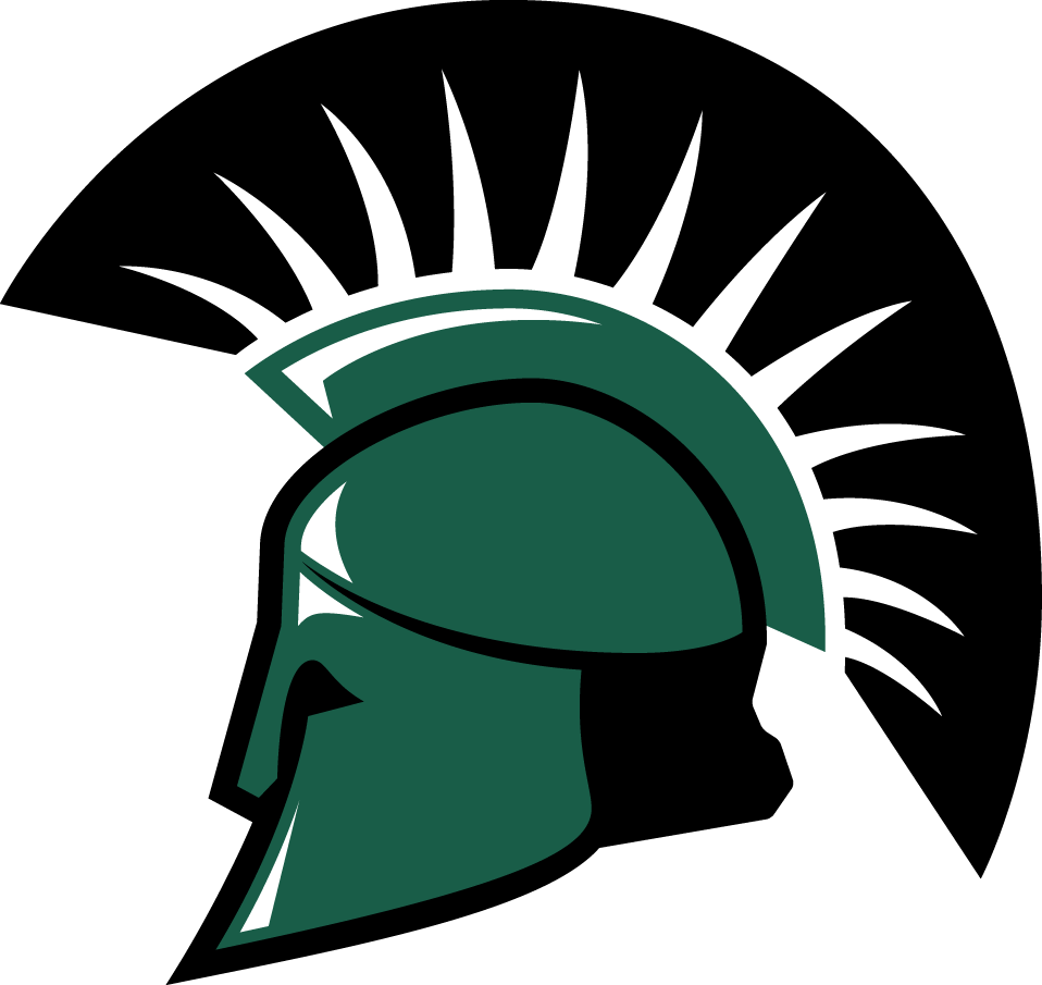 USC Upstate Spartans 2009-2010 Primary Logo iron on transfers for clothing